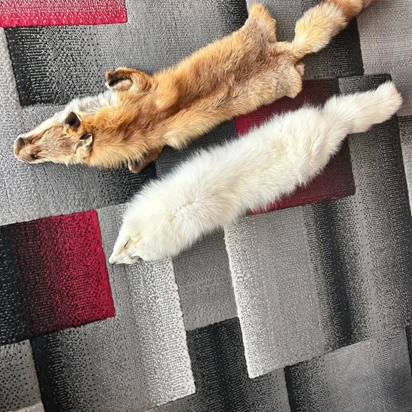 Luxurious Arctic Fox Fur Pelt - Picture 3 of 3